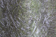 Sheffield Bottom fibreglass roof work